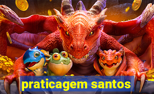 praticagem santos